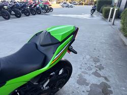 2025 Kawasaki NINJA 500 SE (LAMS) Green