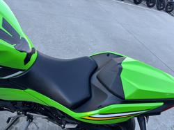 2025 Kawasaki NINJA 500 SE (LAMS) Green