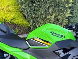 2025 Kawasaki NINJA 500 SE (LAMS) Green