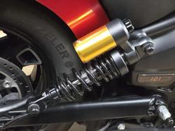 2025 INDIAN SCOUT 101 LIMITED Red