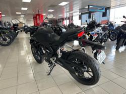 2024 Honda CB300R (CB300RA)