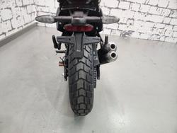 2026 Triumph Tracker 400 Tracker Yellow