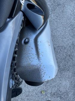 2023 Kawasaki KLX230 S GREY