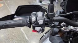 2026 Triumph TIGER 900 RALLY PRO