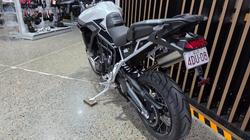 2026 Triumph TIGER 900 RALLY PRO