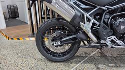 2026 Triumph TIGER 900 RALLY PRO