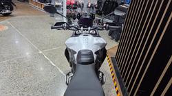 2026 Triumph TIGER 900 RALLY PRO