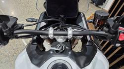 2026 Triumph TIGER 900 RALLY PRO