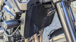 2026 Kawasaki Z900 SUPERNAKED Green