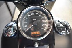 2017 HARLEY-DAVIDSON FLSTFBS FAT BOY S