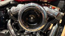 2026 Harley-Davidson Street Bob 117 (FXBB) Softail Red
