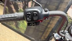 2026 Harley-Davidson Street Bob 117 (FXBB) Softail Red