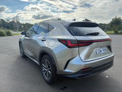 2023 Lexus NX 250