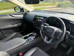 2023 Lexus NX 250