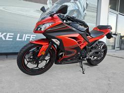 Kawasaki 2013 Kawasaki EX300 Orange