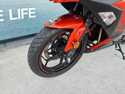 Kawasaki 2013 Kawasaki EX300 Orange