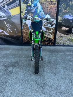 2010 Kawasaki KX450F Green