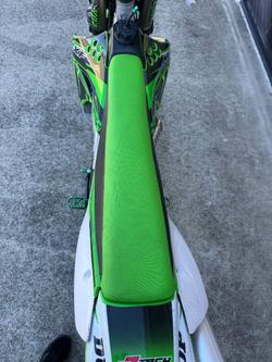 2010 Kawasaki KX450F Green