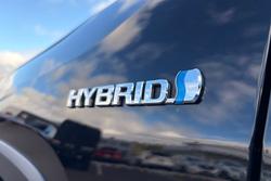 2021 Toyota RAV4 Cruiser
