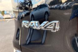 2021 Toyota RAV4 Cruiser
