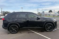 2021 Toyota RAV4 Cruiser