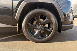 2021 Toyota RAV4 Cruiser