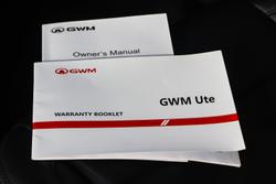 2025 GWM Cannon Lux