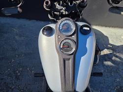 2020 HARLEY-DAVIDSON FXLRS LOW RIDER S (114) GREY