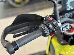 2025 BMW Motorrad F 900 GS Enduro F 900 Yellow