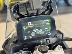 2025 BMW Motorrad F 900 GS Enduro F 900 Yellow