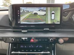 2022 Kia Carnival Platinum