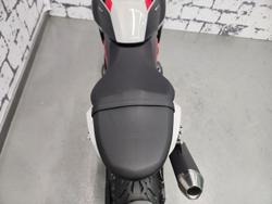 2026 Triumph Trident 800 Trident Grey