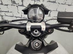 2026 Triumph Trident 800 Trident Grey