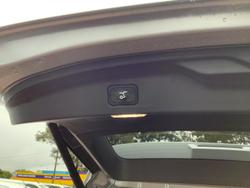 2025 Ford Everest Sport