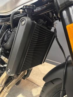 2024 Harley-Davidson X 500 X Silver