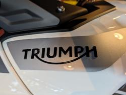 2020 Triumph Tiger 900 GT Pro Tiger White