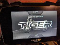 2020 Triumph Tiger 900 GT Pro Tiger White