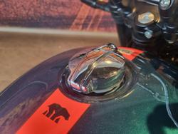 2025 Royal Enfield Bear 650 650 Twin Green