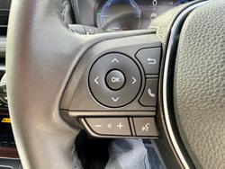 2024 Toyota RAV4 Cruiser