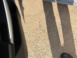 2022 Suzuki Swift GL