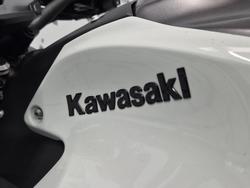 2021 Kawasaki Z900 (ZR900F) Z White