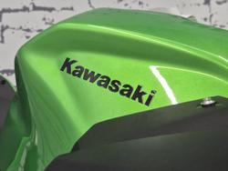 2025 Kawasaki Z500 (ER500) Z Green
