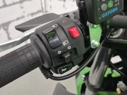 2025 Kawasaki Z500 (ER500) Z Green