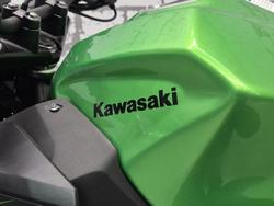 2025 Kawasaki Z500 (ER500) Z Green