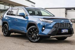 2024 Toyota RAV4 Cruiser