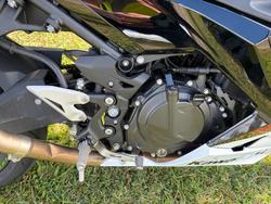 2022 Kawasaki NINJA 400 KRT INSPIRED CG Green