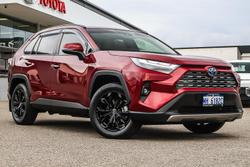 2023 Toyota RAV4 Cruiser