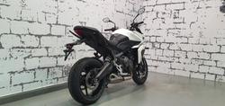2026 Triumph Tiger Sport 660 Tiger White