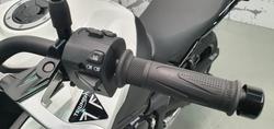 2026 Triumph Tiger Sport 660 Tiger White