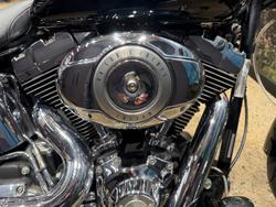 2010 Harley-Davidson Softail Custom 1584 (FXSTC) Softail Black
